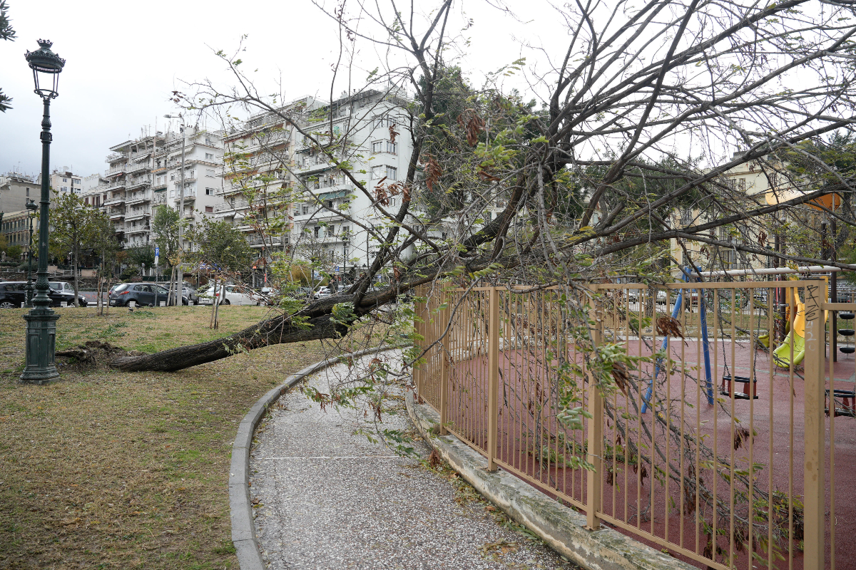 ΣΥΡΙΖΑ: Κριτική στην κυβερνητική απουσία κατά τη διάρκεια της κακοκαιρίας Bora