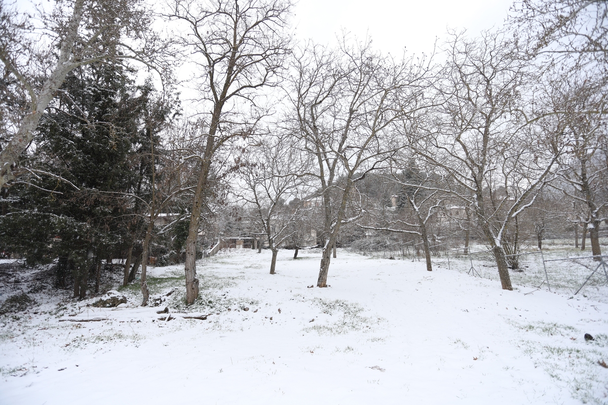 Καιρός: Ίσως δούμε χιόνια τα Χριστούγεννα