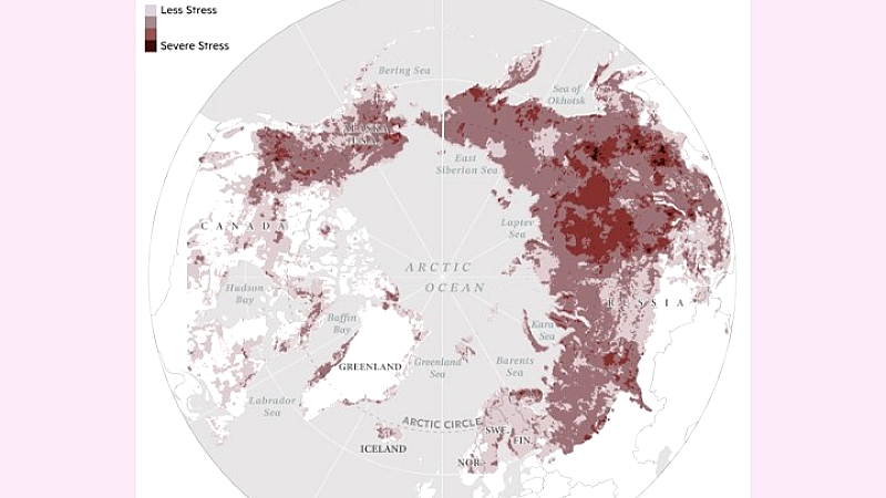Ανακάλυψη περιοχών σε Αλάσκα και Σιβηρία που πλήττονται από κλιματικό στρες