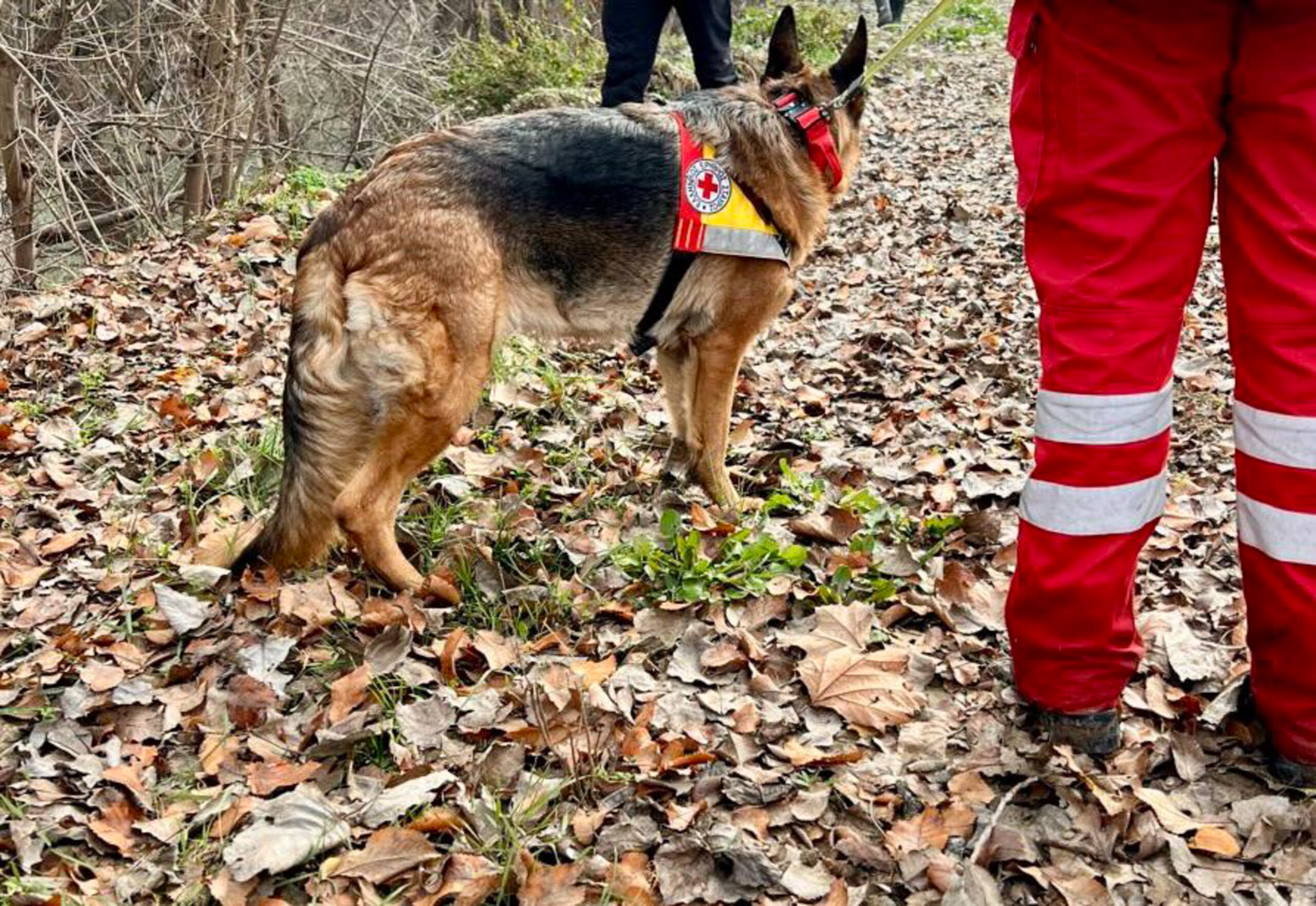 Παραμένει άφαντος για 12η μέρα ο 39χρονος στη Λάρισα: «Συγκρατημένα αισιόδοξος», δηλώνει ο Γιώργος Τσούκαλης