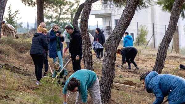 Δενδροφύτευση στο υπό διαμόρφωση περιαστικό δάσος στην περιοχή της Τριανδρίας, έκτασης 20 στρεμμάτων