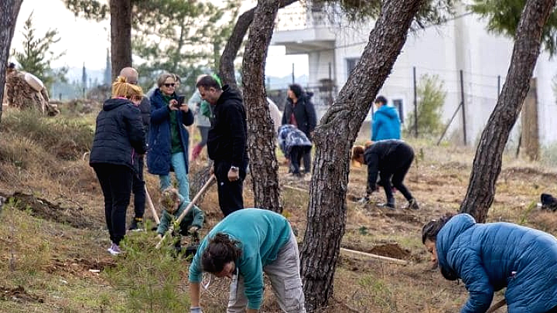 Εθελοντική δενδροφύτευση στο περιαστικό δάσος της Τριανδρίας