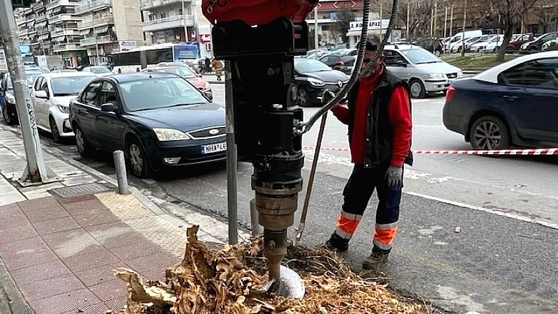 Αφαίρεση ριζών κομμένων δέντρων από τον δήμο Θεσσαλονίκης