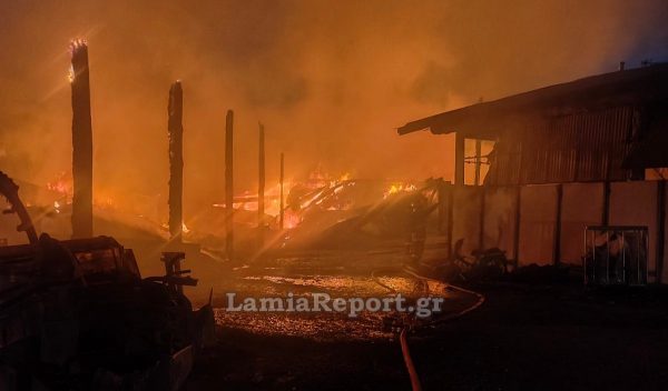 Εκτενείς ζημιές από φωτιά σε κτηνοτροφική μονάδα στον Αλμυρό Βόλου: Απομάκρυνση 2.500 ζώων