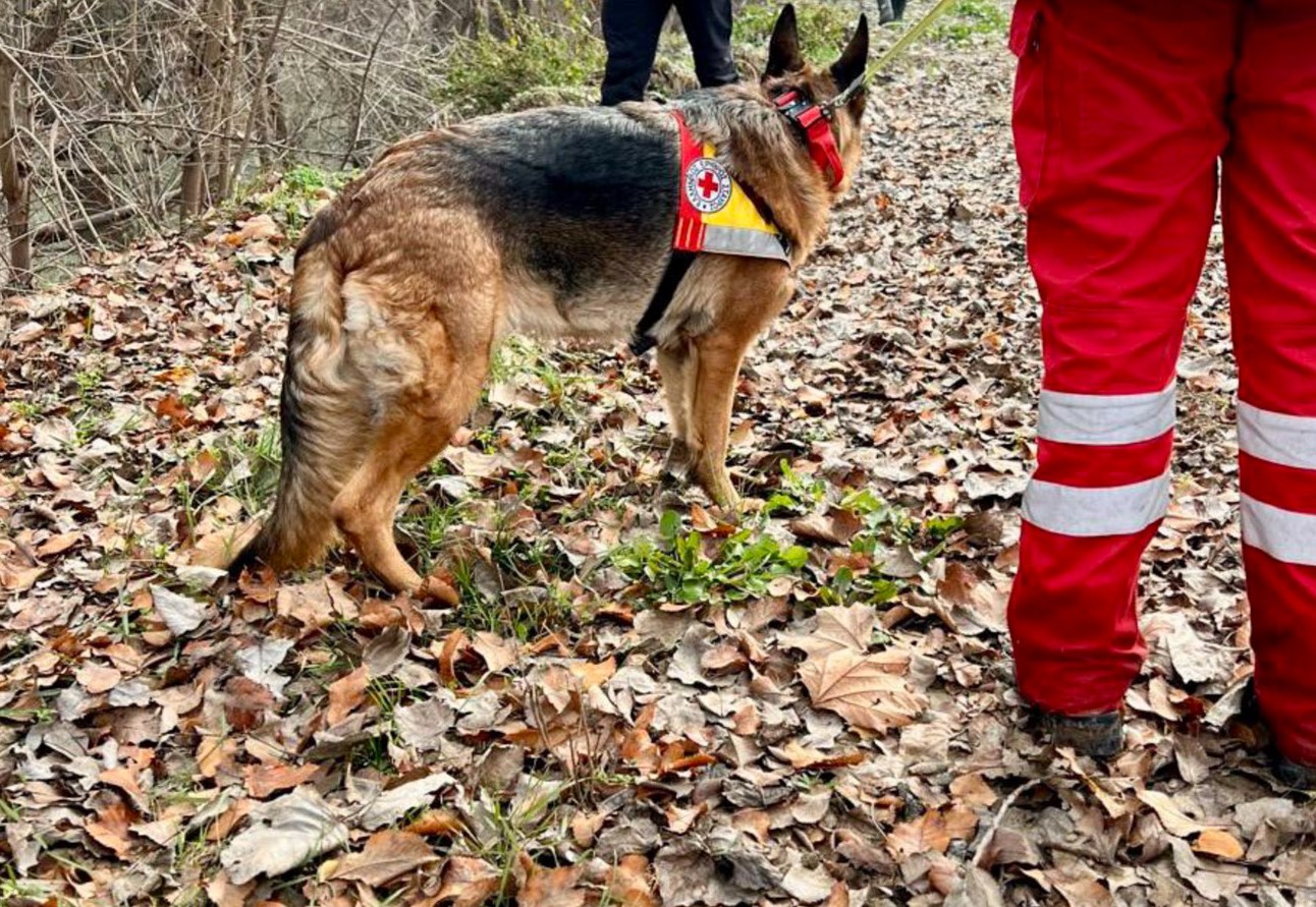 Λάρισα: Ανεξιχνίαστη η εξαφάνιση του 39χρονου Βασίλη