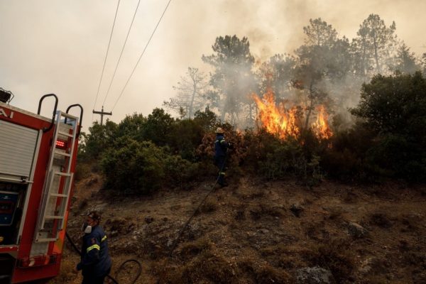 Φωτιά στην Λακωνία: Εντολή επιχειρήσεων στην περιοχή Βέρια Σπάρτης