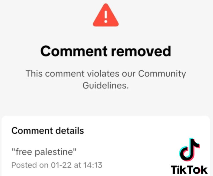 TikTok: Λογοκρίνει την κριτική κατά του Τραμπ και του Μασκ