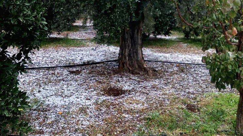 Σημαντική εξέλιξη για την Πιερία: 200.000 στρέμματα θα ενταχθούν στην αντιχαλαζική προστασία από αέρος