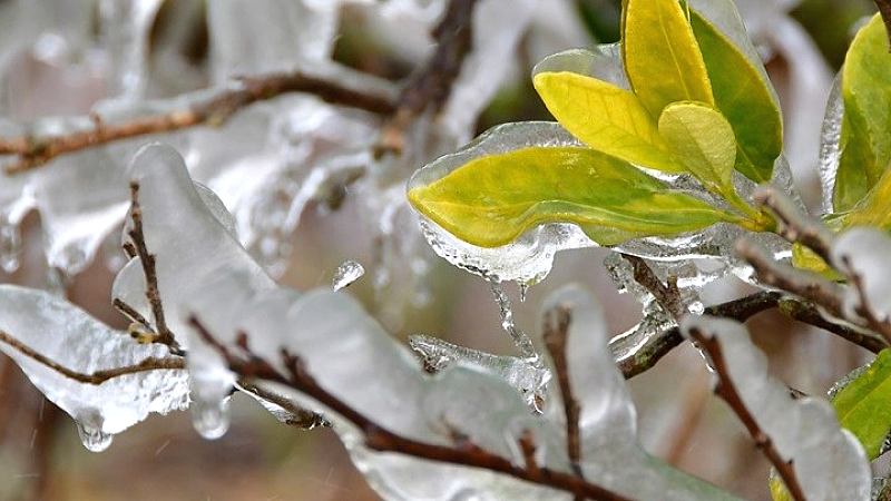 Χαμηλές θερμοκρασίες και καιρικά φαινόμενα προγραμματίζονται μέχρι τα μέσα του μήνα