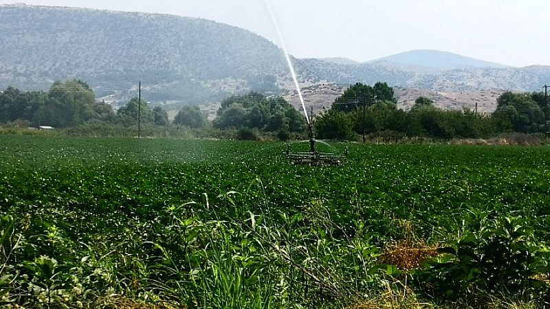 Νέα μελέτη επισημαίνει τις επιπτώσεις της κλιματικής αλλαγής στην παραγωγικότητα των εργαζομένων – Τι τονίζει στο ΑΠΕ-ΜΠΕ ο Δρ Ανδρέας Δ. Φλουρής