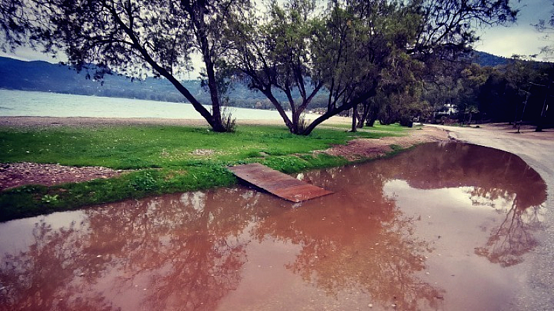 Η κλιματική αλλαγή και οι νέες επενδυτικές προτεραιότητες ESG των επιχειρήσεων