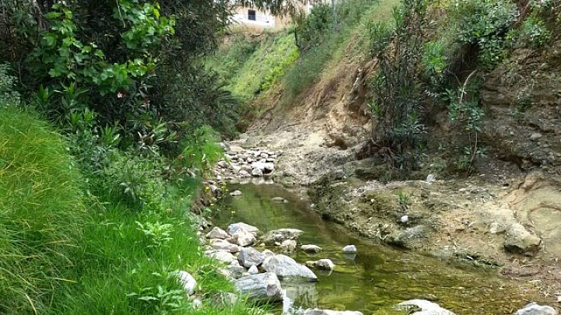 Στρατηγικό σχέδιο του δήμου Αγίου Δημητρίου για την προστασία και ανάδειξη του ρέματος Πικροδάφνης