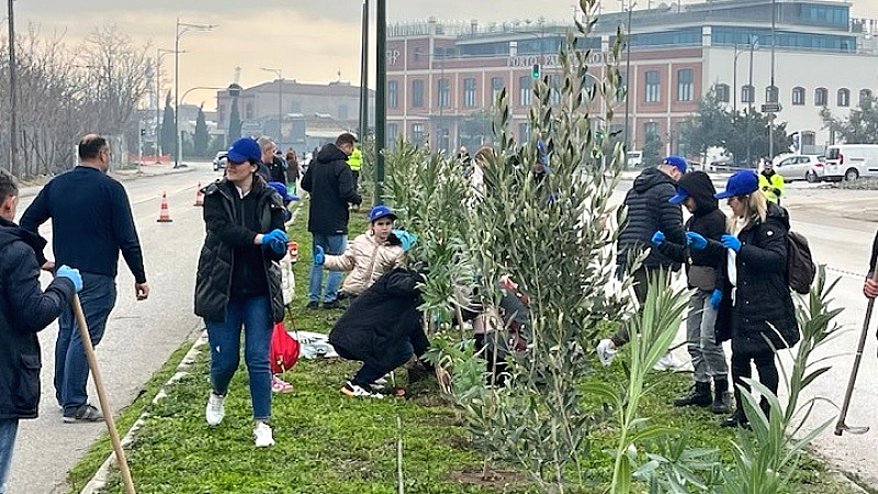 Επιτυχής δενδροφύτευση 100 ελιών και 1.300 πικροδάφνων στη δυτική είσοδο της Θεσσαλονίκης