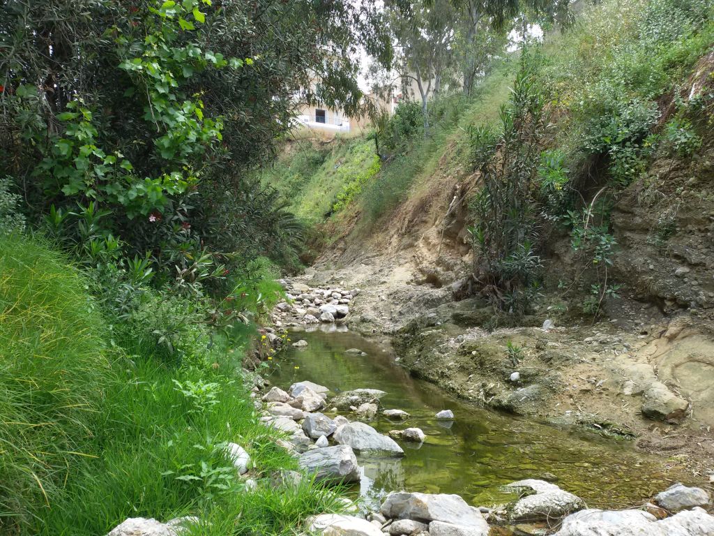 Ο Δήμαρχος Αγίου Δημητρίου στοχεύει σε μετασχηματισμό του ρέματος της Πικροδάφνης σε πρότυπο πάρκο