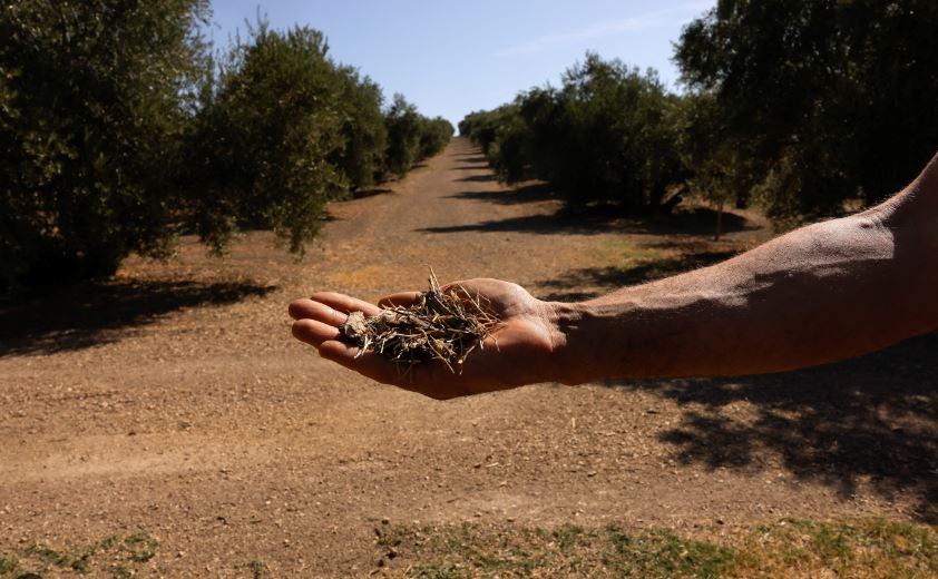 ΠΑΣΟΚ: Απομάκρυνση από τα διαχρονικά ζητήματα του πρωτογενούς τομέα στην κυβερνητική αγροτική πολιτική