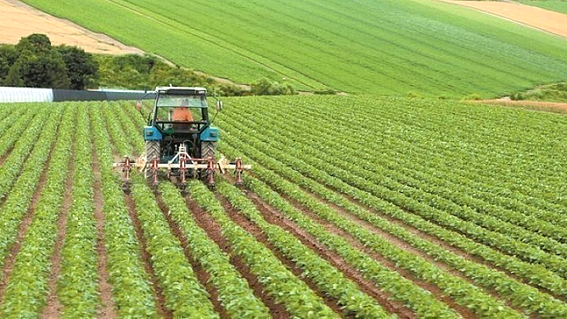 Δωρεάν η πλατφόρμα agroJob για την εύρεση εργατικού δυναμικού στον αγροδιατροφικό τομέα