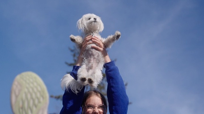 Η Ταινία Small Dogs Bark Loud Αποκαλύπτει την Ιστορία της Τούνι και του Σάλτο