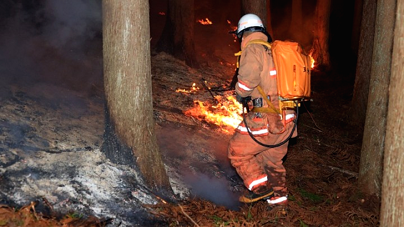 Ιαπωνία: Στις φλόγες η χώρα – Η χειρότερη δασική πυρκαγιά των τελευταίων 50 ετών συνεχίζεται