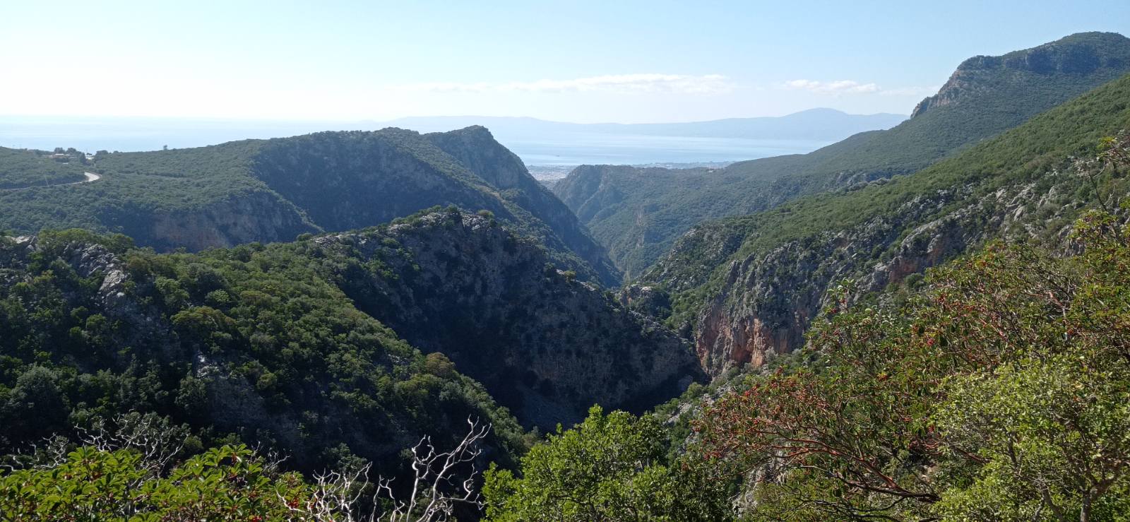 Δημιουργία αντιπυρικών ζωνών σε 13 οικισμούς του Δήμου Καλαμάτας για την ενίσχυση της πυροπροστασίας