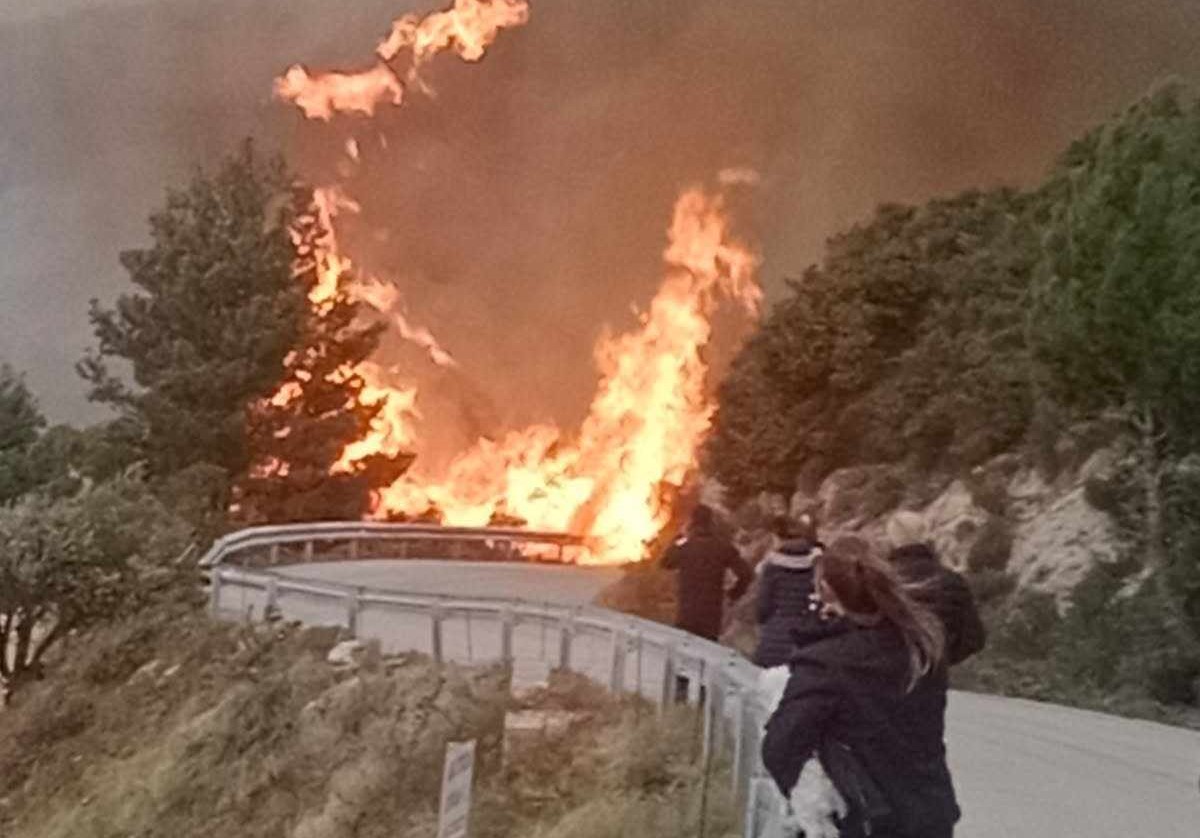 Μεγάλη φωτιά στη Λευκάδα: Συναγερμός στην Πυροσβεστική